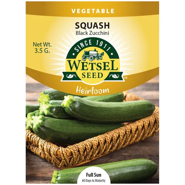 Squash, Heirloom Black Zucchini 3.5 Grams