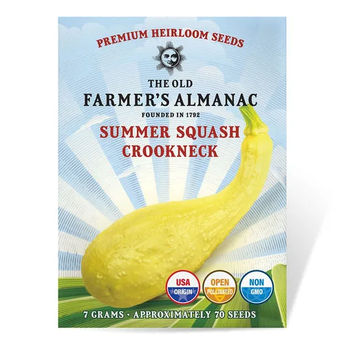 Squash, Heirloom Crookneck 3.5 Grams - Image 2