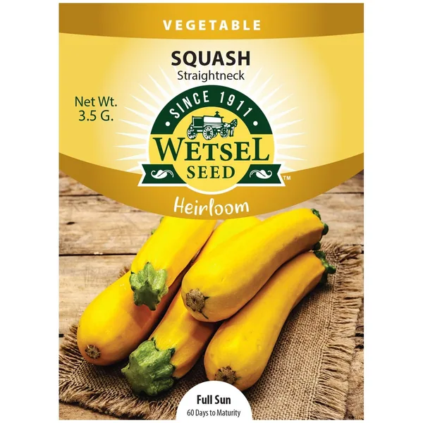 Squash, Heirloom Straightneck 3.5 Grams