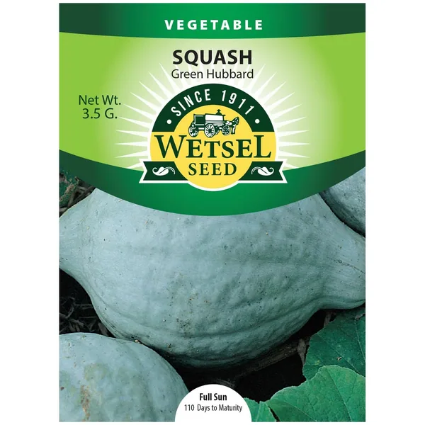Squash, Improved Green Hubbard 3.5 Grams