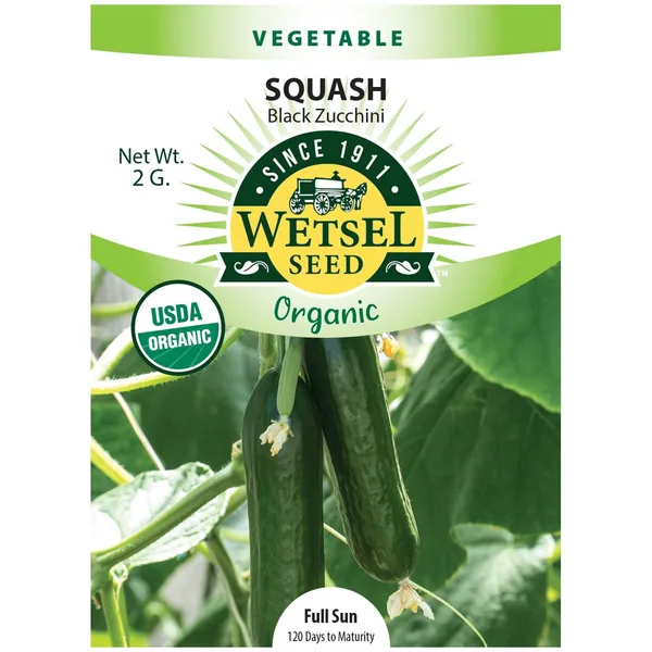 Squash, Organic Black Zucchini 2 Grams