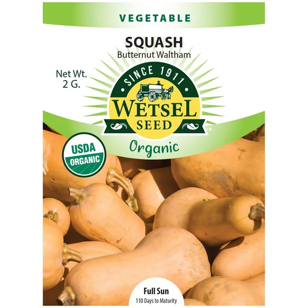 Squash, Organic Butternut Waltham 2 Grams