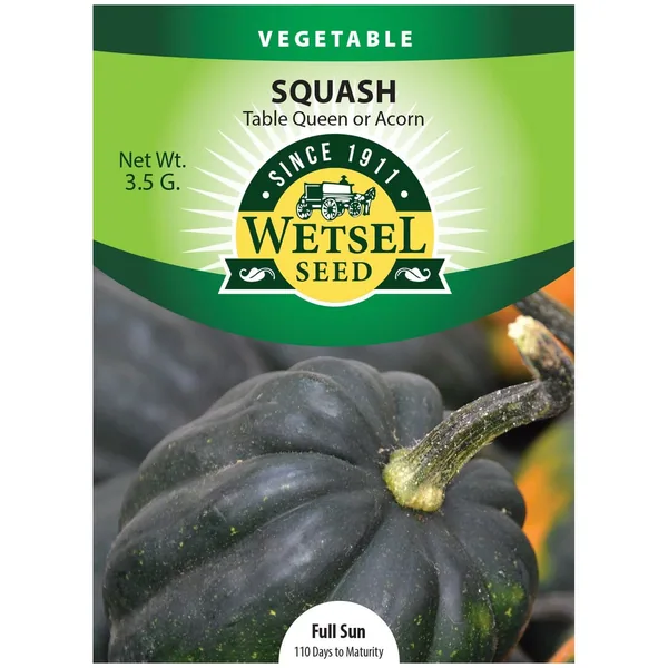 Squash, Table Queen Acorn 3.5 Grams