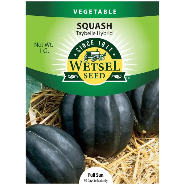 Squash, Taybelle Hybrid 1 Gram