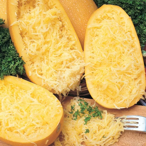Squash, Vegetable Spaghetti 1