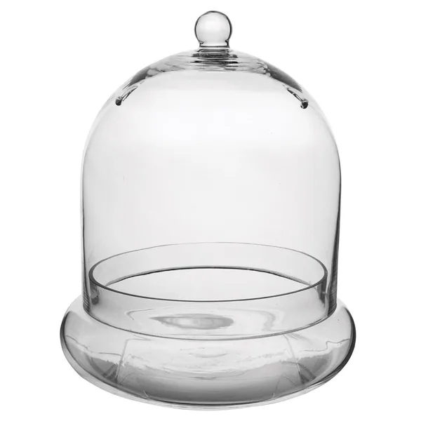 SSI 10" x 11 3/8" Terrarium Cloche
