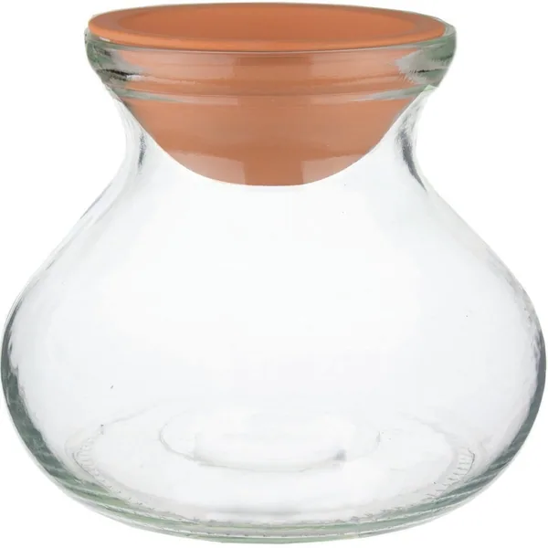 SSI 6" Rosie Posie Bulb Planter with Terra Insert
