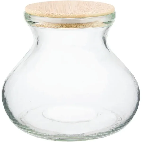 SSI 6" Vase Terrarium with Lid & Light - Image 2