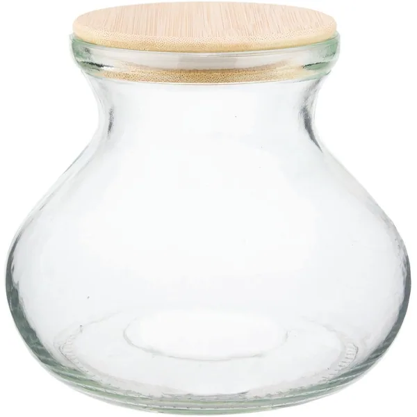 SSI 6" Vase Terrarium with Lid & Light