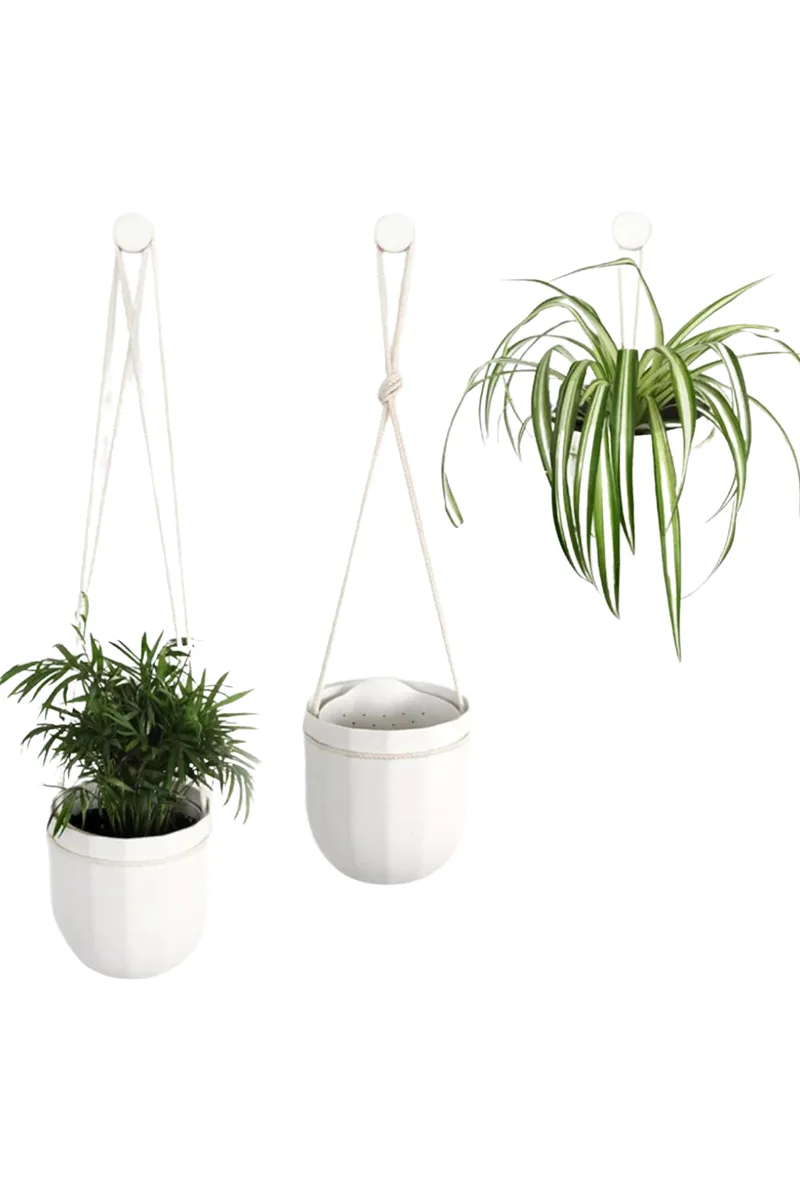 SSI Hang Loose Planter - Image 2