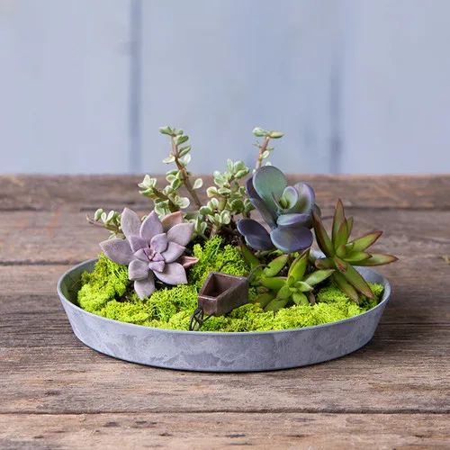 StoneArt 10" Napa Terrarium Grey - Image 2
