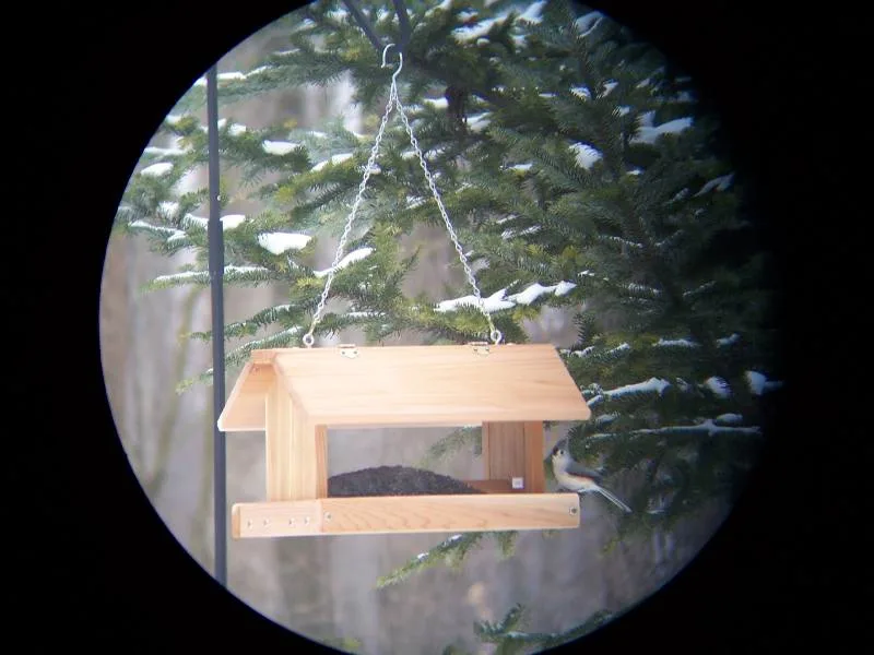Stovall Medium Flip Top Feeder w/ Perforated Plastic Bottom MADE IN THE USA - Image 2