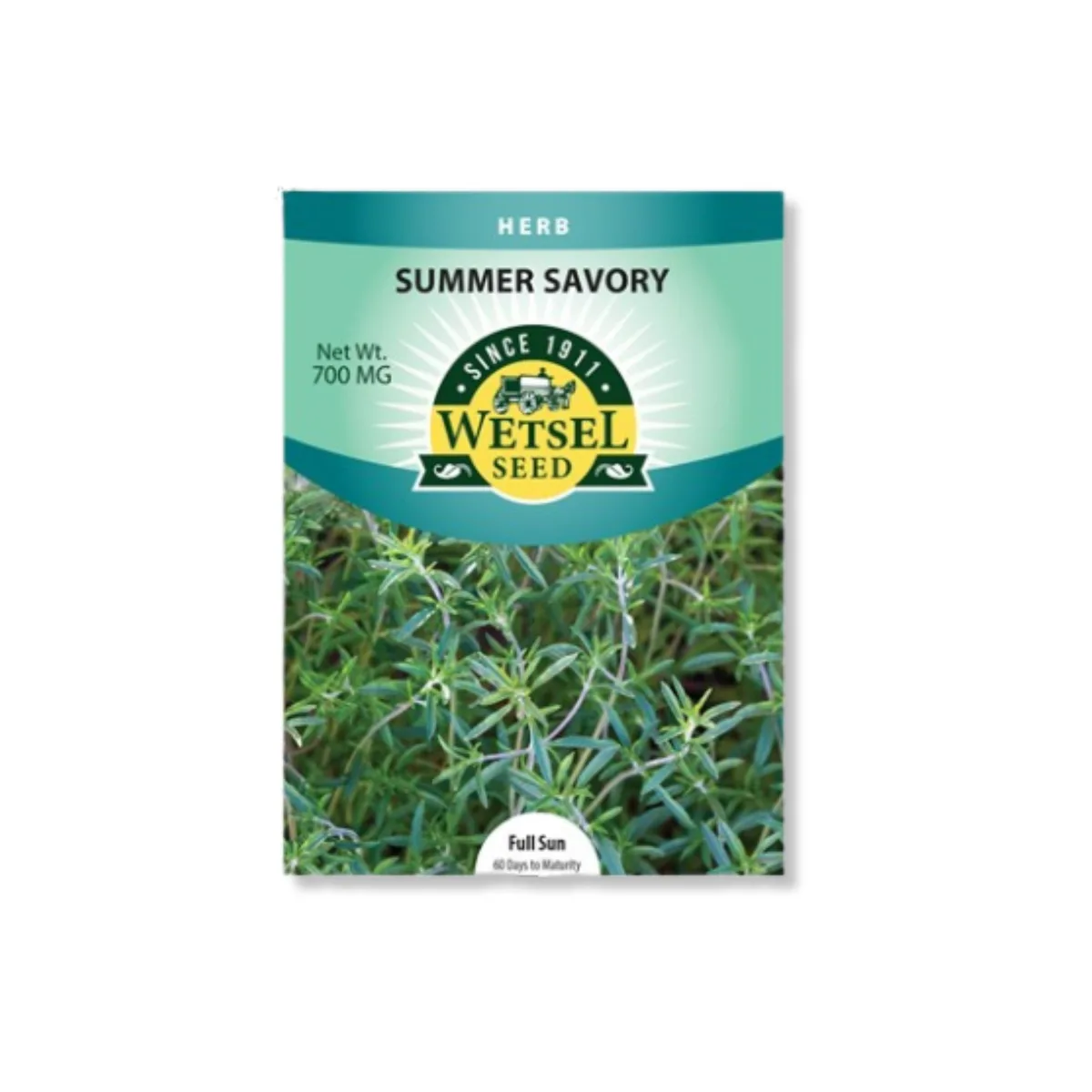 Summer Savory 700mg - Image 2