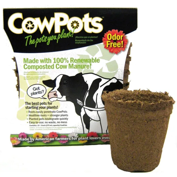 Summit Cow Pot #3 Round 12ct