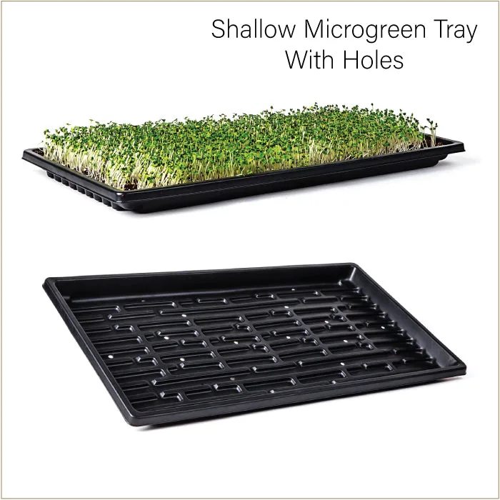 SunBlaster Double-Thick Microgreen Tray w/Holes, 10" x 20" x 1.25" Deep - Image 2