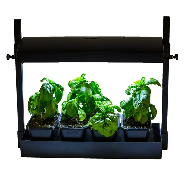 Sunblaster LED Micro Glg Black
