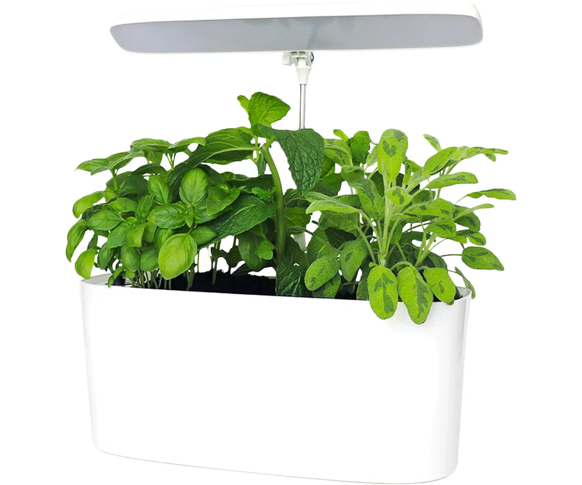 SunBlaster Nano Growlight Garden, w/ LED Grow Light, Timer and Adapter - Image 2