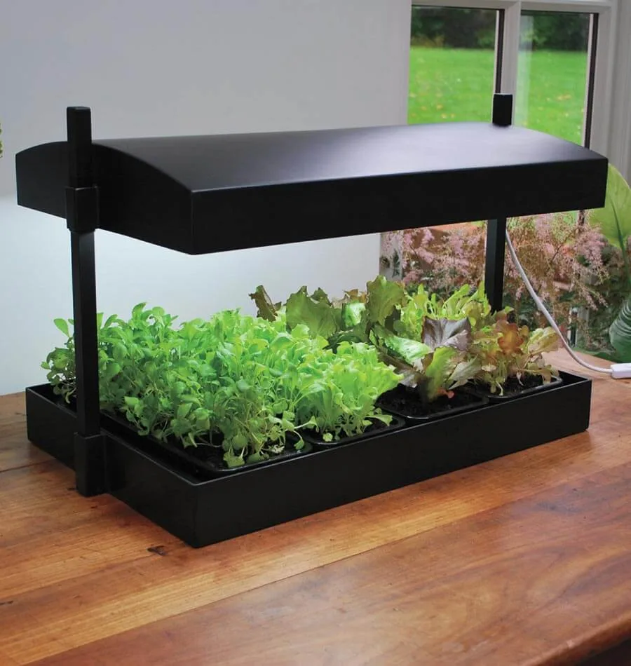 SunBlaster T5 Grow Light Garden 24W, Black - Image 2