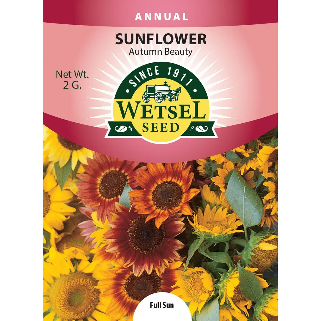 Sunflower, Autumn Beauty 2 Grams - Image 2