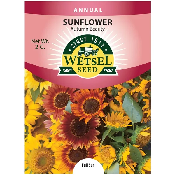 Sunflower, Autumn Beauty 2 Grams