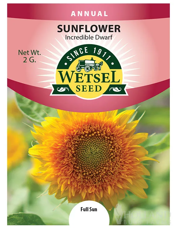 Sunflower, Incredible Dwarf 2 Grams - Image 2