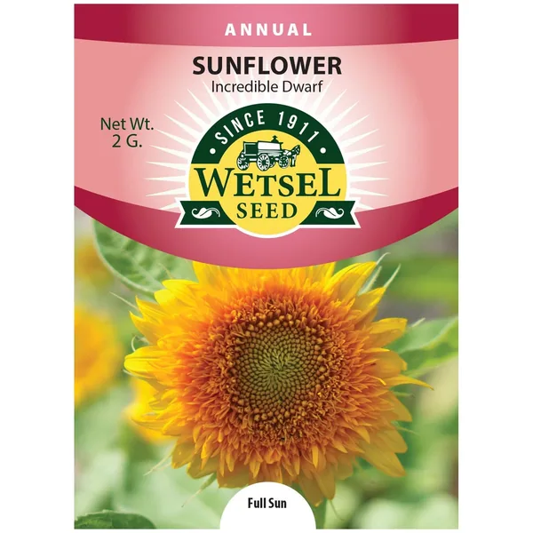 Sunflower, Incredible Dwarf 2 Grams