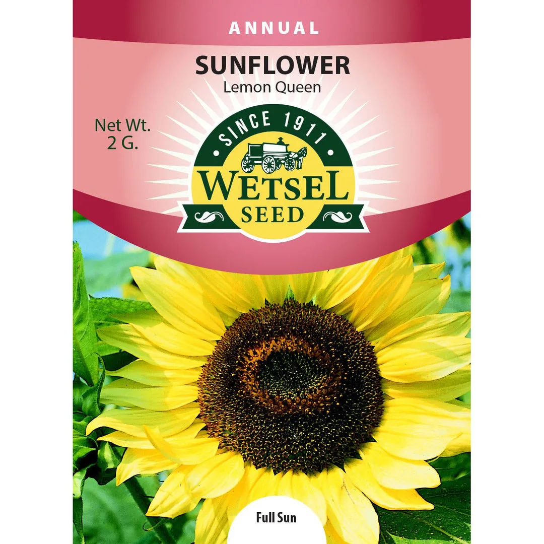 Sunflower, Lemon Queen 2 Grams - Image 2