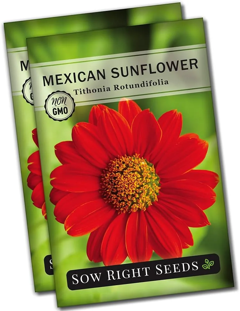 Sunflower, Mexican 1 Gram - Image 2