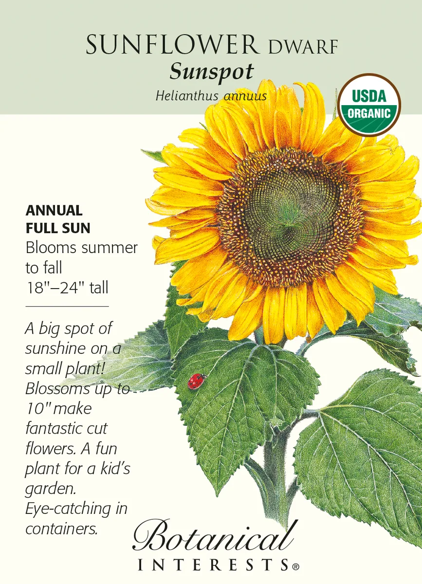 Sunflower, Red Sun 2 Grams - Image 2