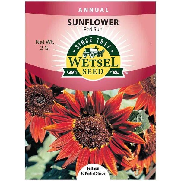 Sunflower, Red Sun 2 Grams