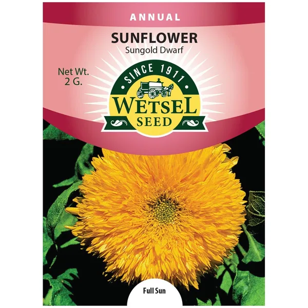 Sunflower, Sungold Dwarf 2 Grams