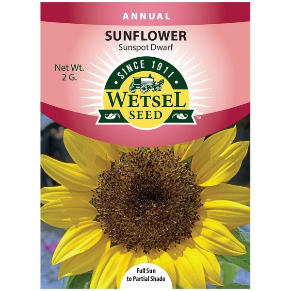 Sunflower, Sunspot Dwarf 2 Grams