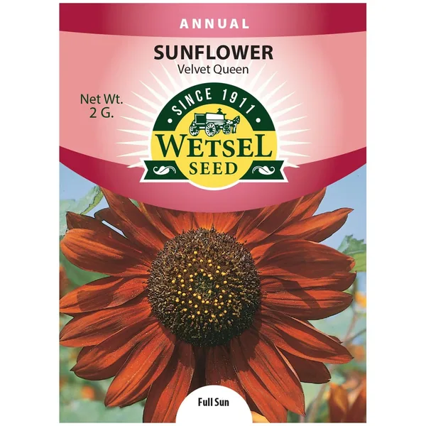 Sunflower, Velvet Queen 2 Grams