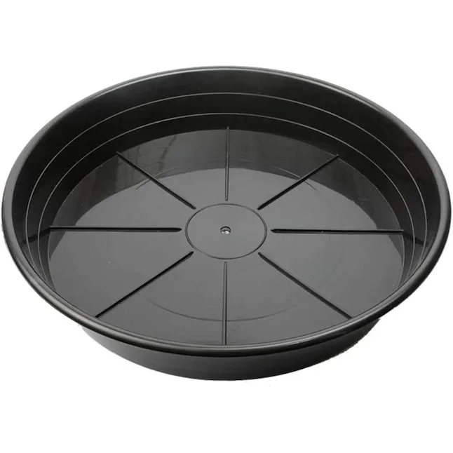 Sunpack 16" Clear Premium Saucer - Image 2