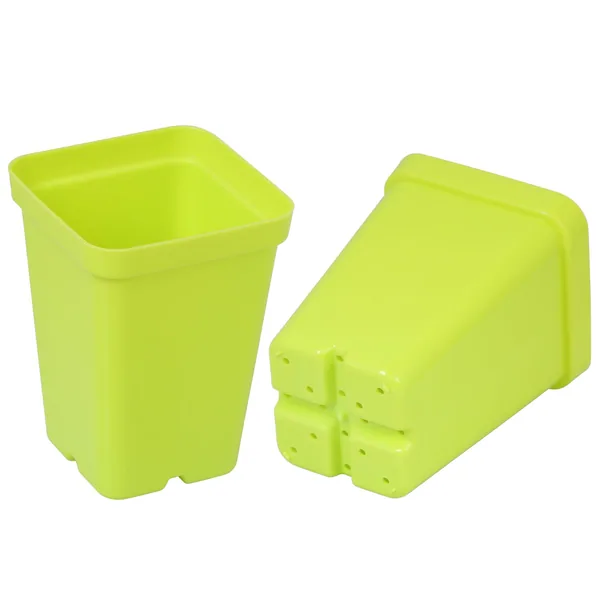 Sunpack 2.5" Square Pot, Lime Green