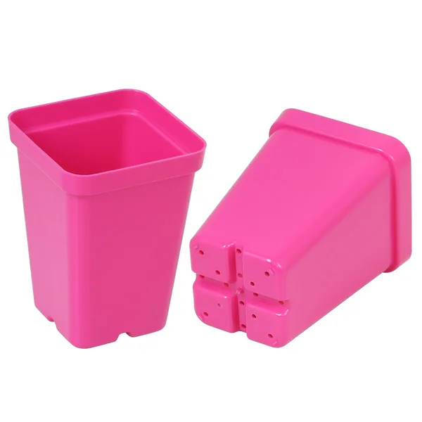 Sunpack 2.5" Square Pot, Magenta