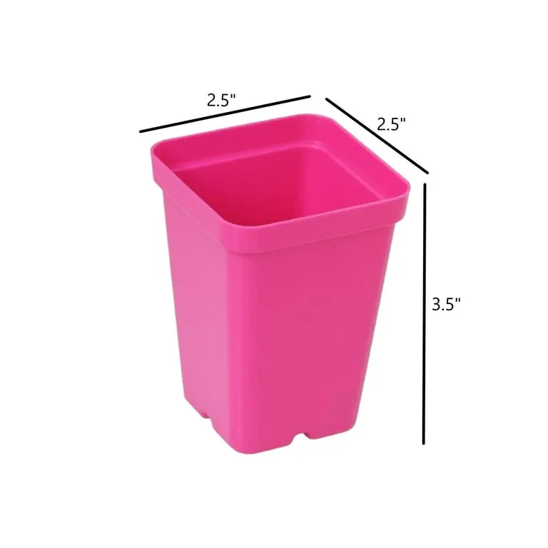 Sunpack 2.5" Square Pot Mixed Color - Image 2