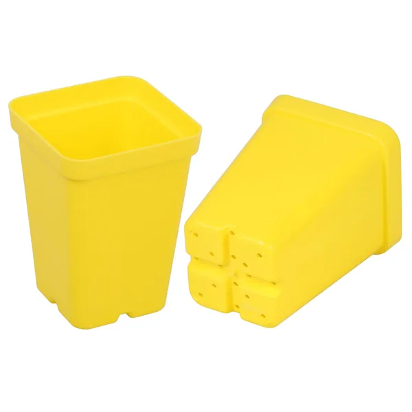 Sunpack 2.5" Square Pot, Yellow
