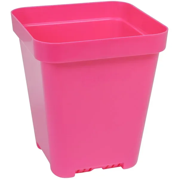 Sunpack 5" Heavy Duty Seed Starting Pot Square Magenta - Image 2