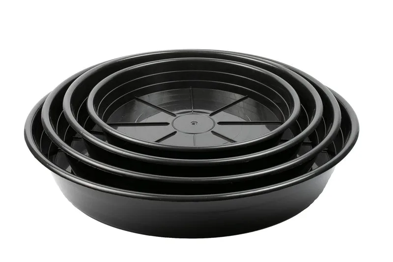 Sunpack 6" Premium Saucer Black - Image 2