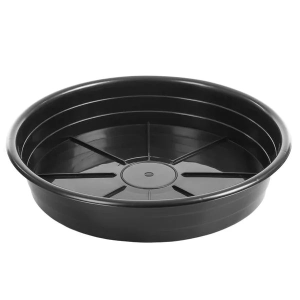 Sunpack 8" Premium Saucer Black - Image 2