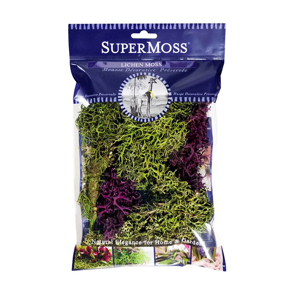 SuperMoss Branched Lichen Parmelia
