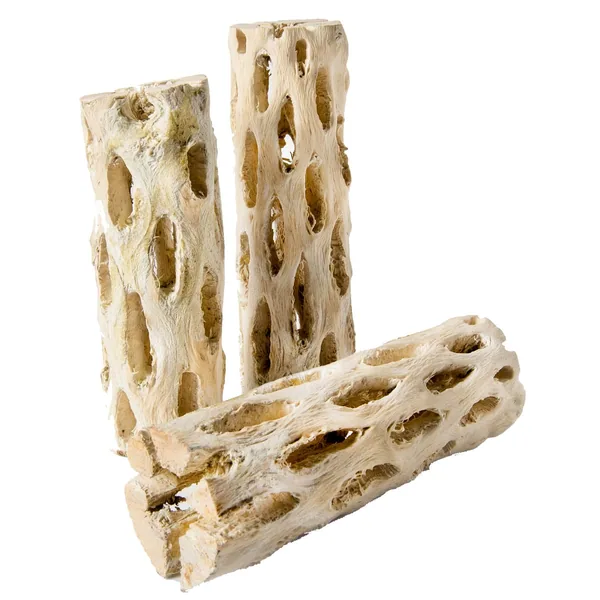 SuperMoss Cholla Wood