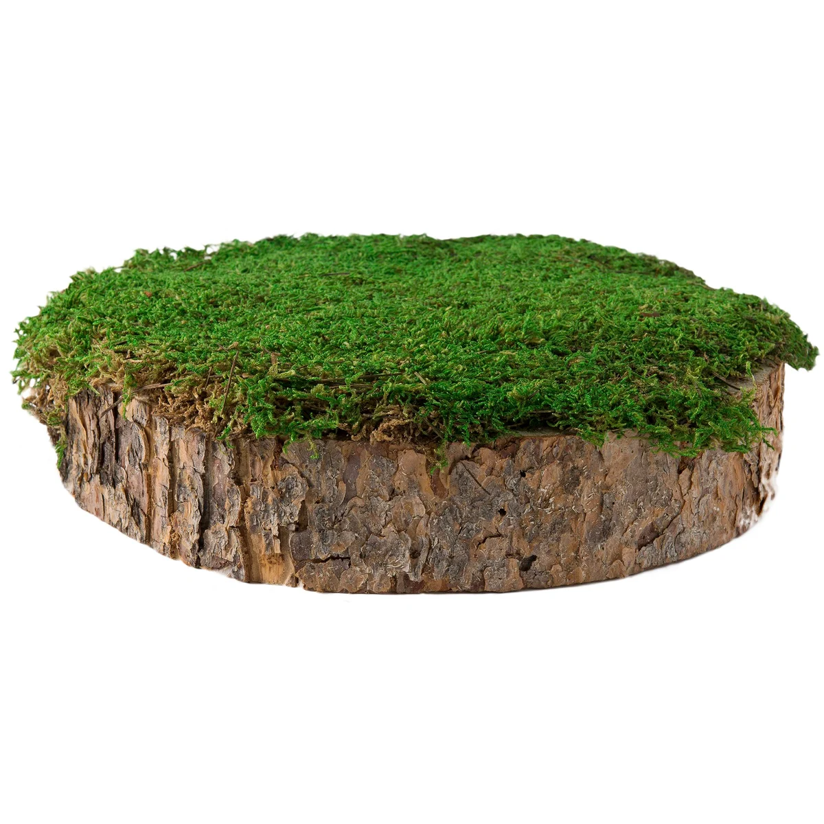 SuperMoss Deco Bark Mossy Tree Stump