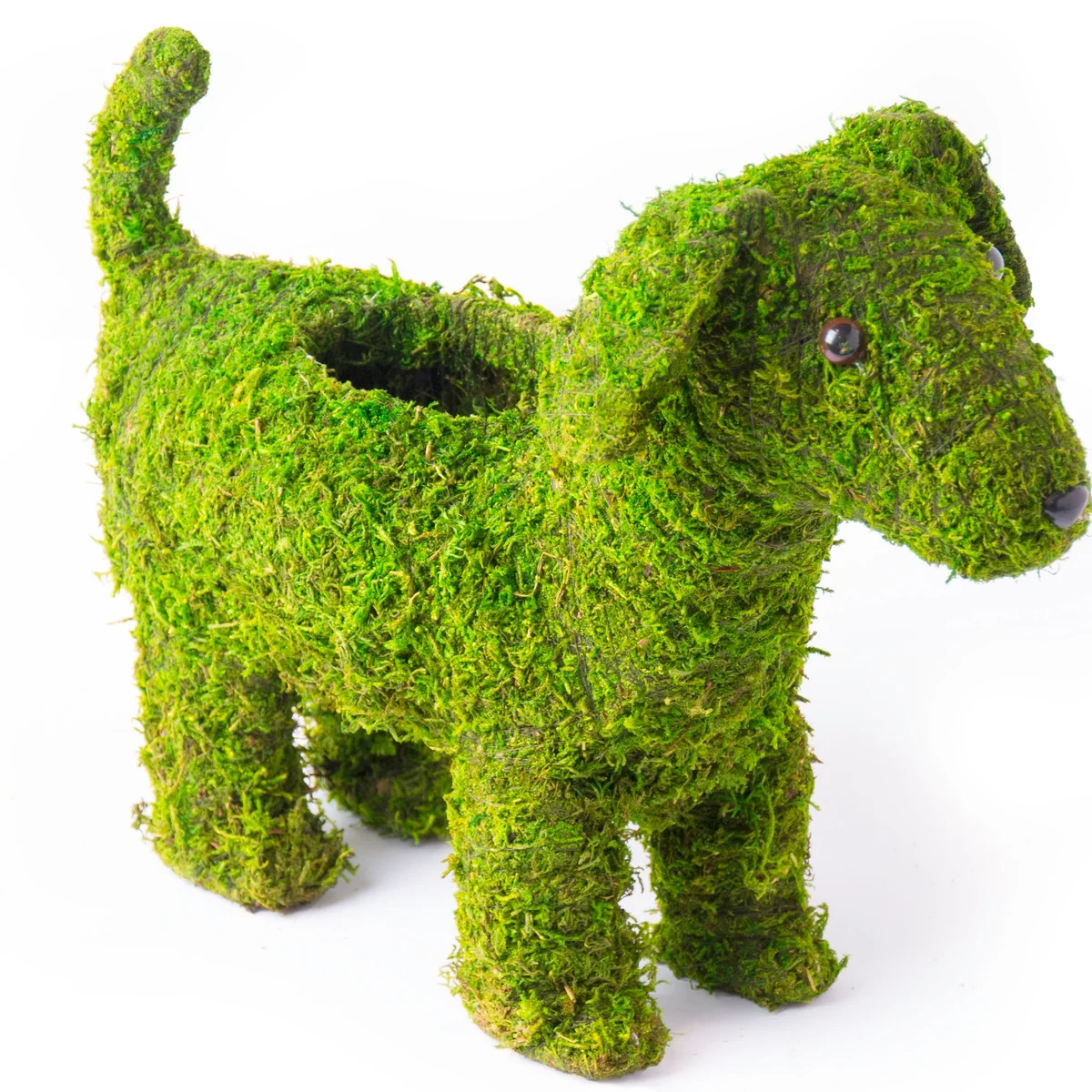 SuperMoss Deco Puppy Planter