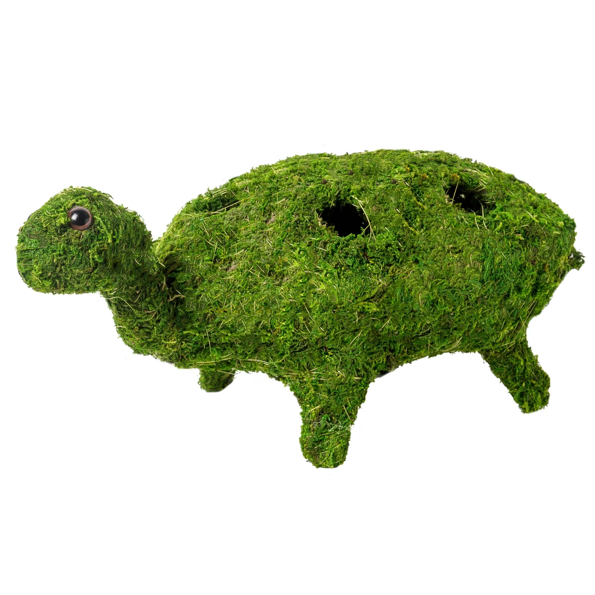 SuperMoss Deco Turtle Planter