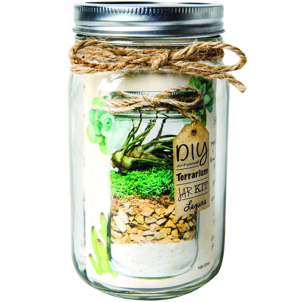 SuperMoss DIY Terrarium Jar Kits