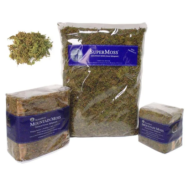 SuperMoss Dried Forest Moss