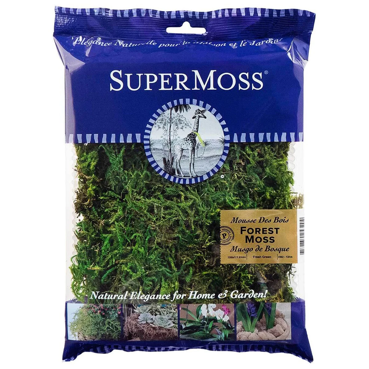SuperMoss Forest Moss Preserved