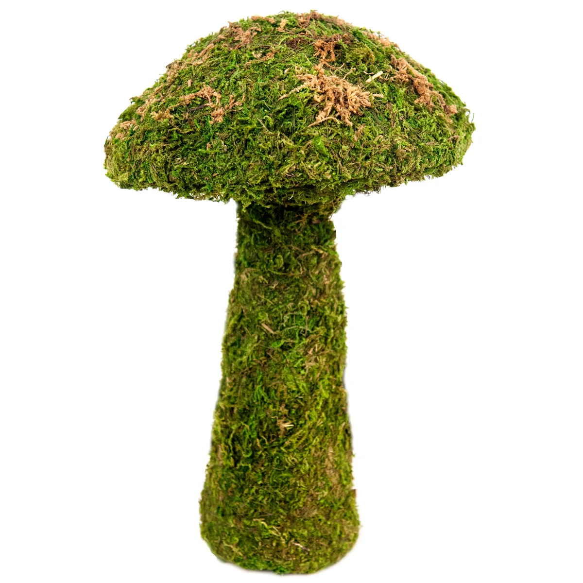 SuperMoss Garden Mushrooms